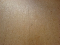 DSC03861