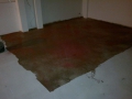 201109211120_result