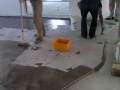 201110131185_result